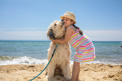 dog and girl on beach