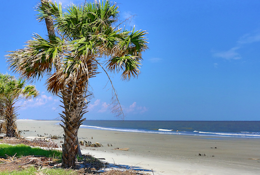 south carolina beach