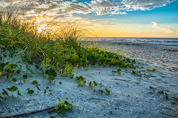 sunrise on the beach