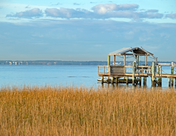 Ecotour Carolina Coastline