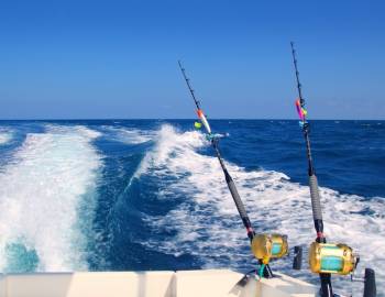 Fishing Charter