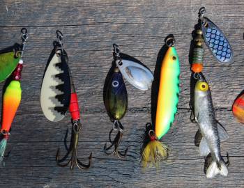 fishing on the Charleston Coast