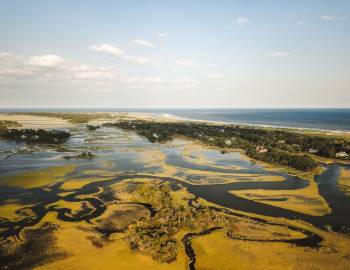 Kiawah Island marsh