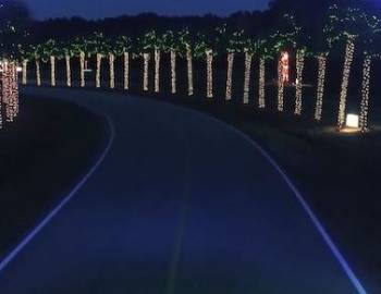 christmas lights in an arch in south carolina