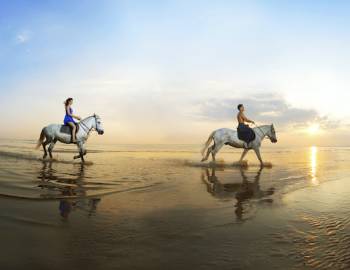 horse backing riding on Seabrook Island