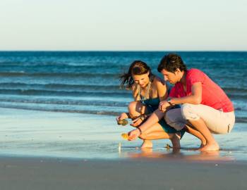 shelling on the beach