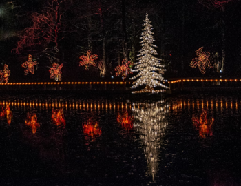 Holiday lights reflecting on Colonial Lake in downtown Charleston, South Carolina, during the annual Light the Lake event. Holiday lights reflecting on Colonial Lake in downtown Charleston, South Carolina, during the annual Light the Lake event.