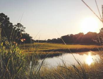 Kiawah Island