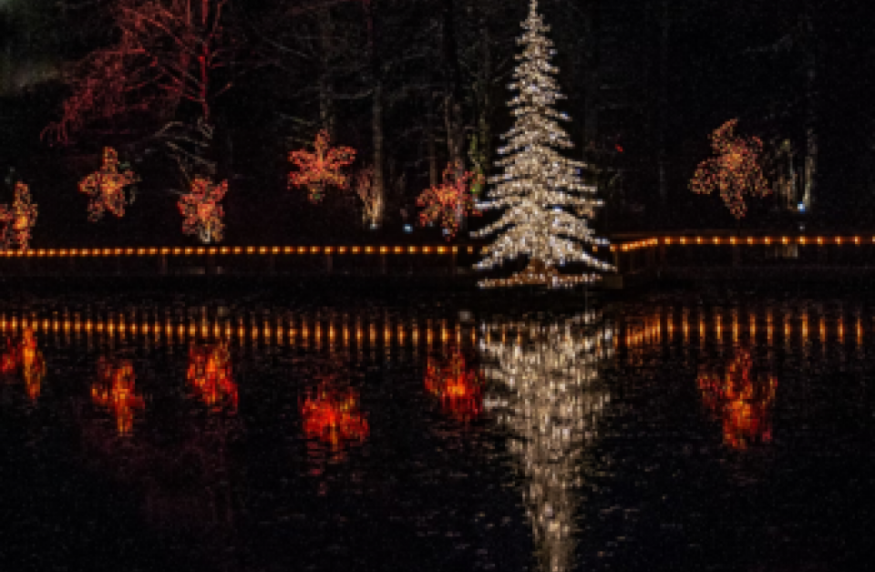 Holiday lights reflecting on Colonial Lake in downtown Charleston, South Carolina, during the annual Light the Lake event.