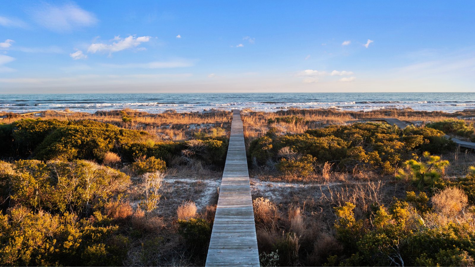 boardwalk to beach over dunes