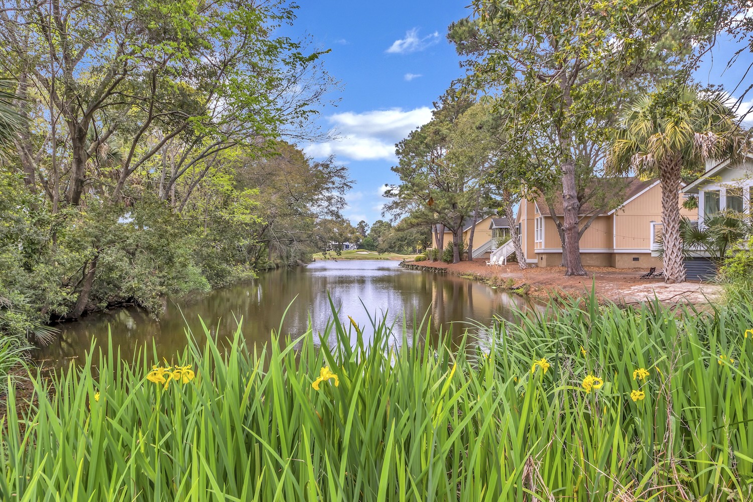 flowers along a charleston channel
