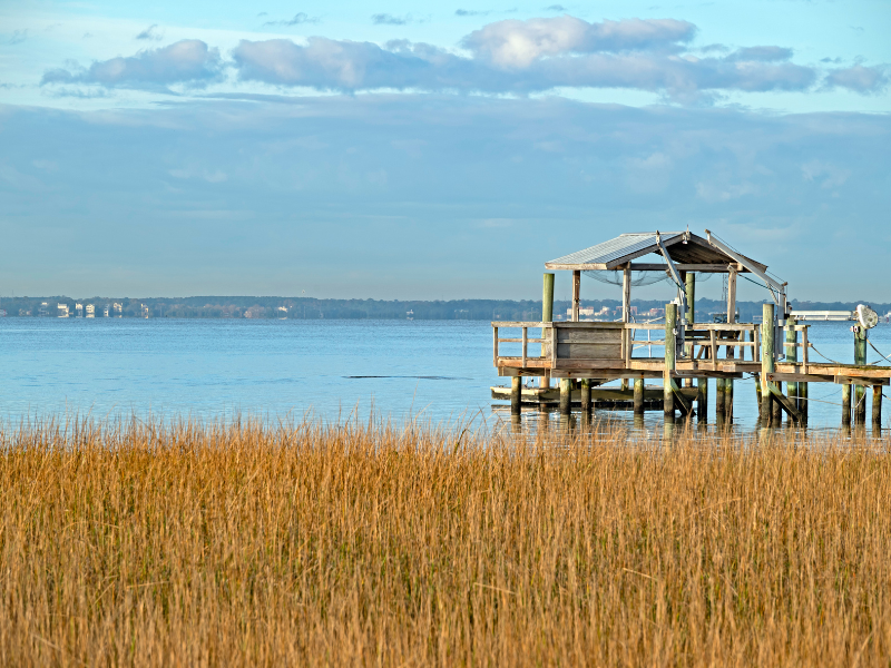 Ecotour Carolina Coastline