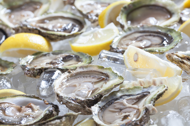 Oysters at a local seafood festival