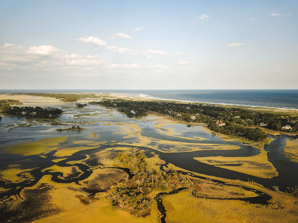 Kiawah Island marsh