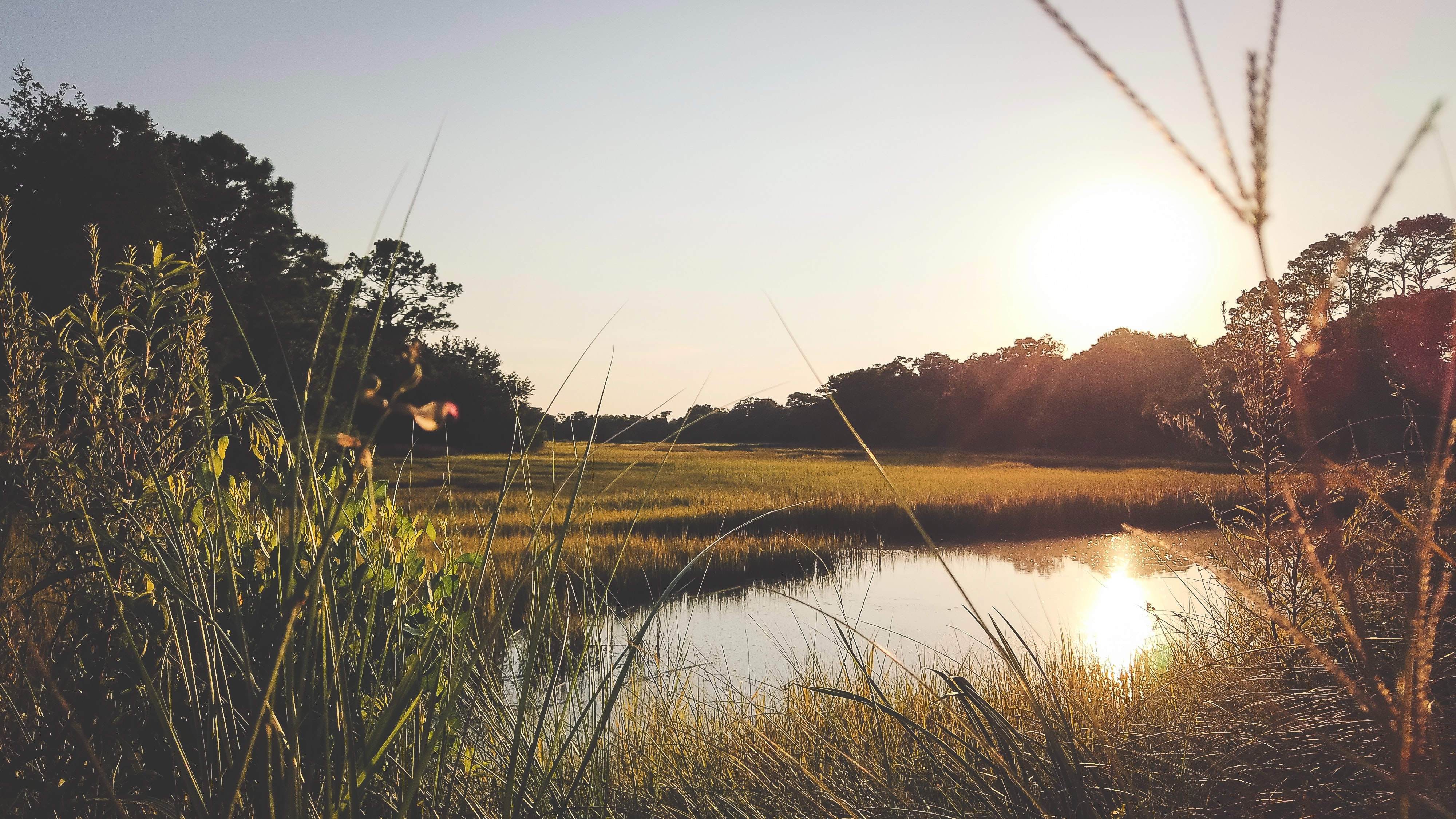 Kiawah Island