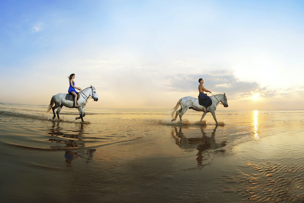 horseback riding seabrook island