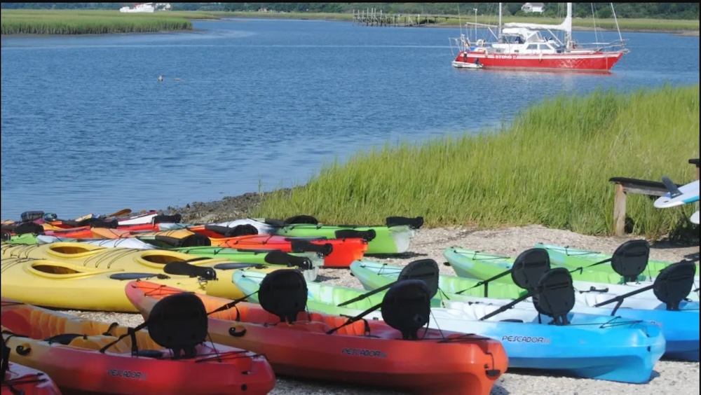 beach shore with multi colored kayaks