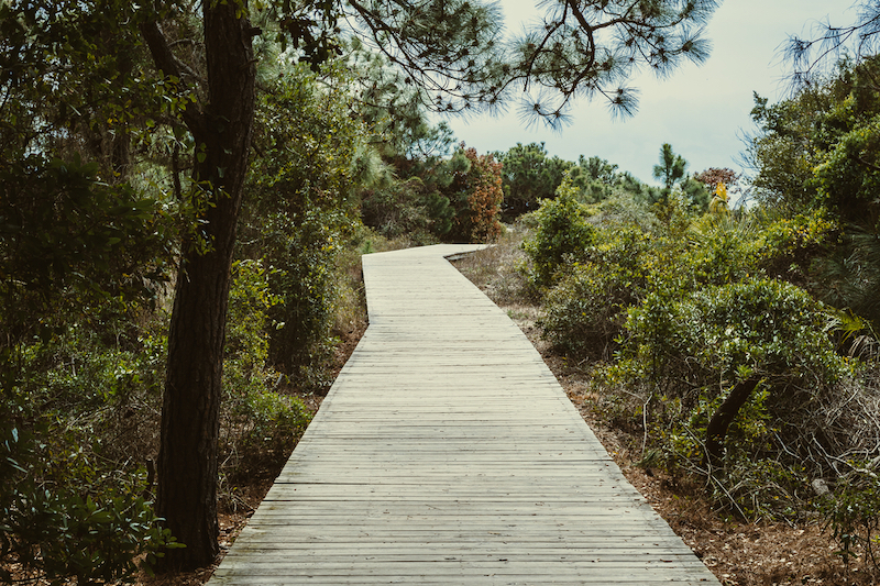 A nature trail on Kiawah Island